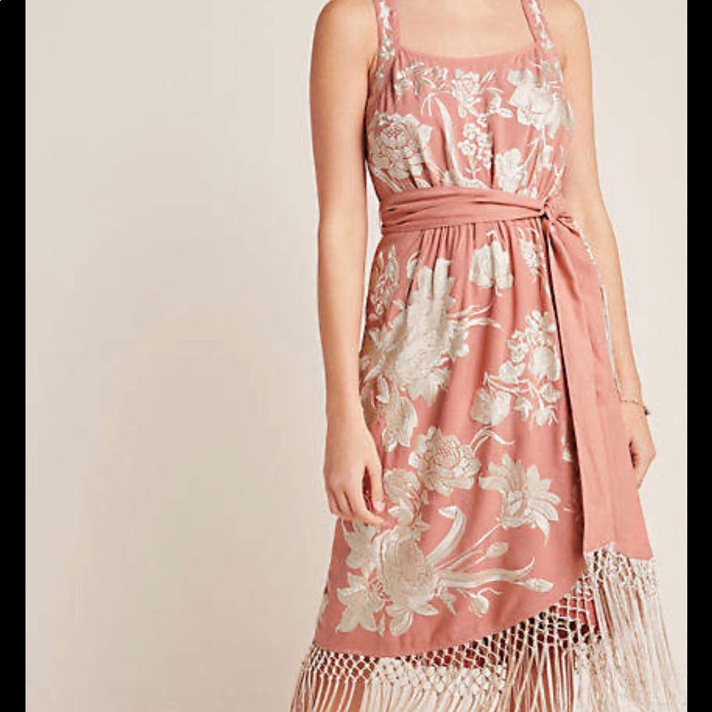 Anthropologie Lucille embroidered fringe dress - Picture 3 of 7